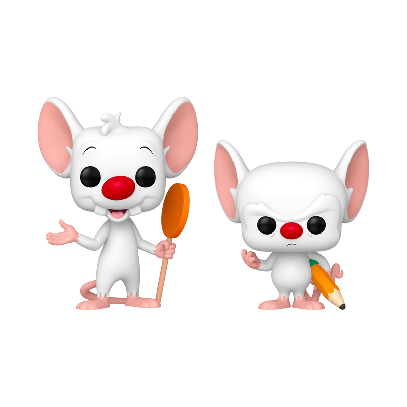 PINKY AND THE BRAIN