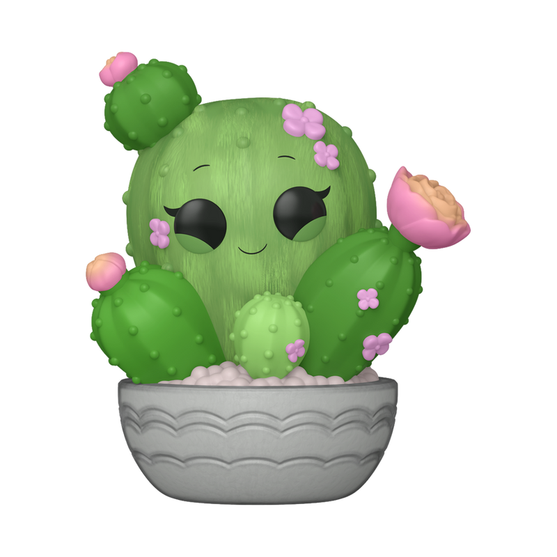 BARREL CACTUS - FLORA