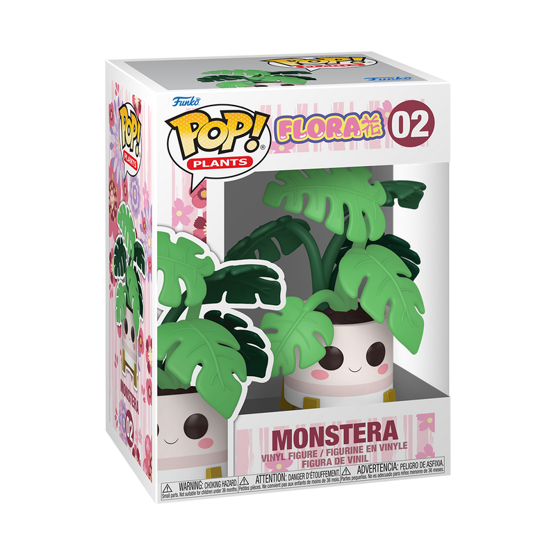 MONSTERA - FLORA