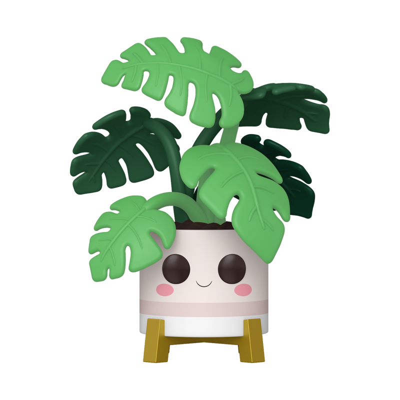 MONSTERA - FLORA