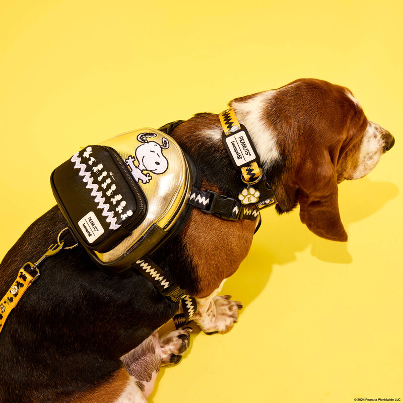 PEANUTS 75TH ANNIVERSARY PET COLLAR