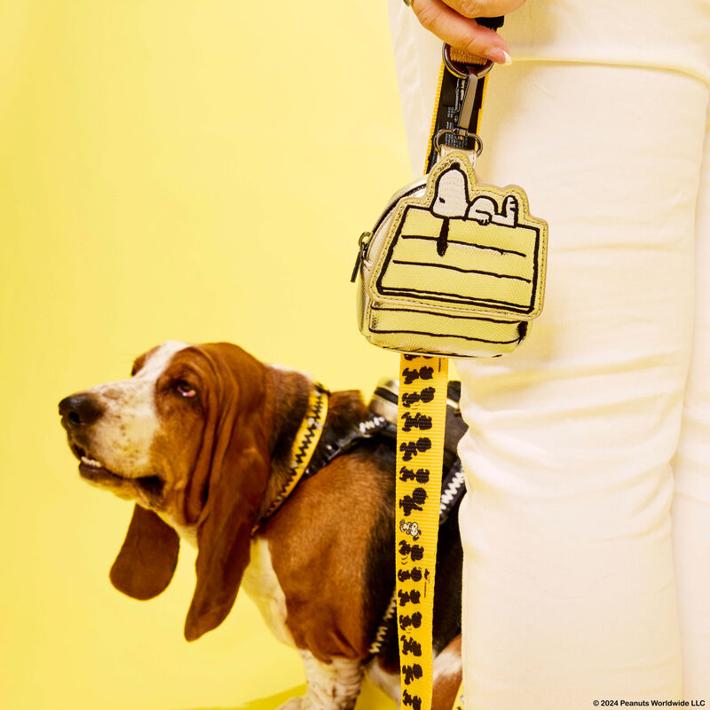 PEANUTS 75TH ANNIVERSARY PET TREAT BAG