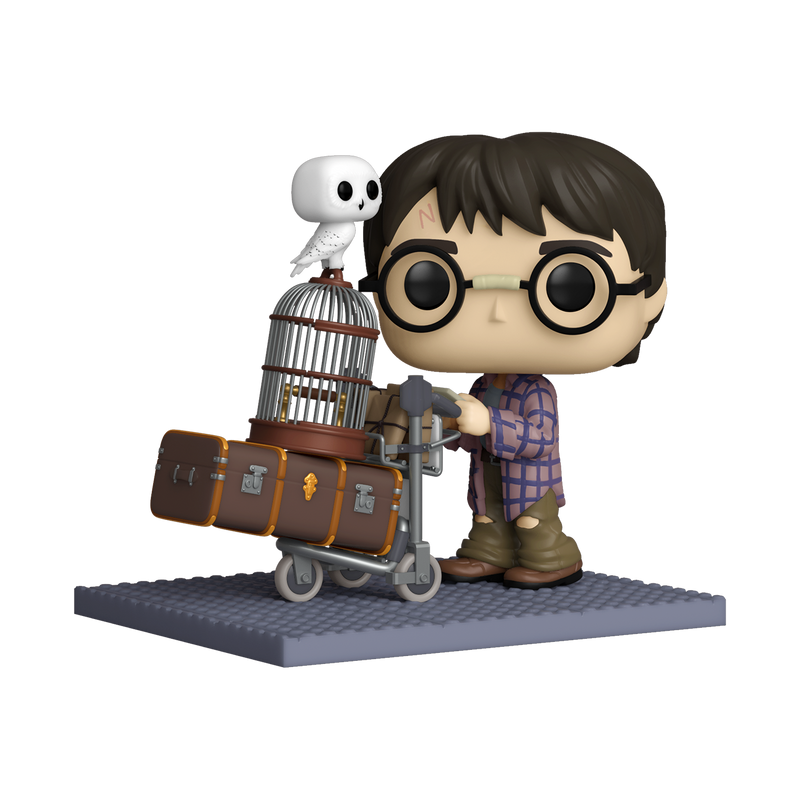 HARRY POTTER (PUSHING TROLLEY)