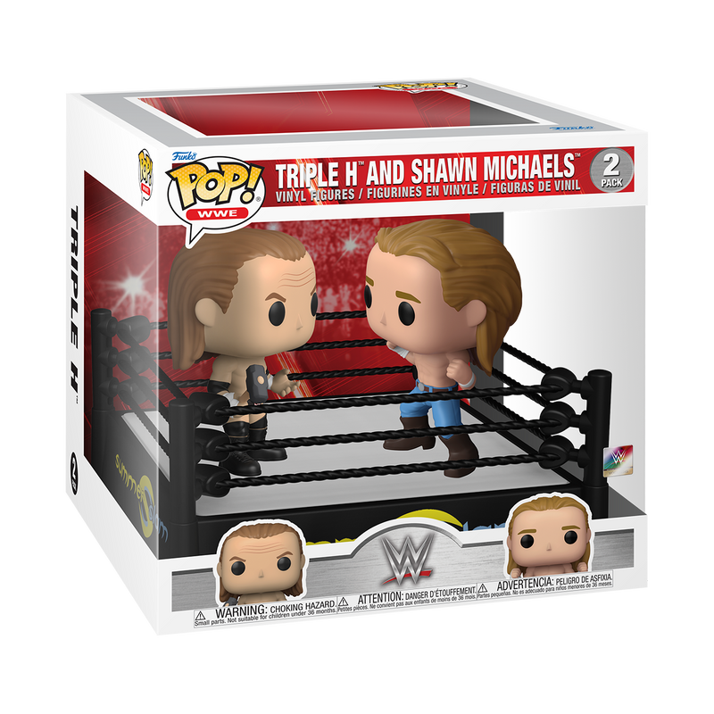 TRIPLE H AND SHAWN MICHAELS - WWE